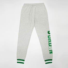 Jordan Court of Legends Pants gris
