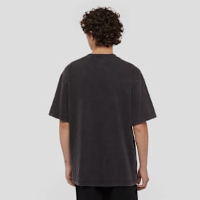 Dickies Plentywood Tee Short Sleeve grau