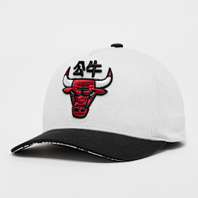Mitchell & Ness Year Of The Snake NBA Chicago Bulls multicolore