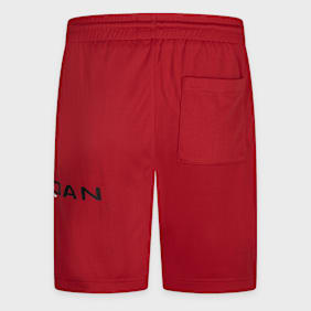 Jordan Baseline Mesh Short rood