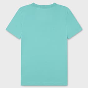 Jordan Air Stretch Tee turqoise