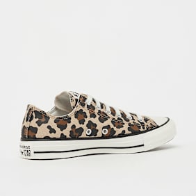 Converse Chuck Taylor All Star beż