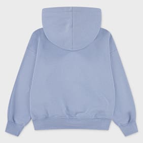 Jordan Brooklyn Fleece Hoodie blauw