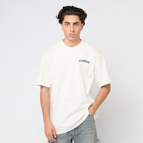 Dickies Gordonsville Short Sleeve Tee beż