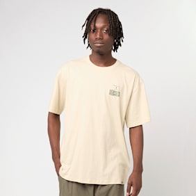 Dickies Apison Shortsleeve Tee bež