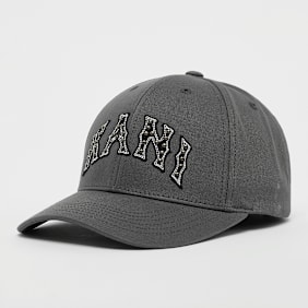 Karl Kani Looplabel Baseball Cap grau