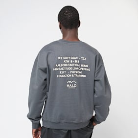 HALO Graphic Boxy Crew grau