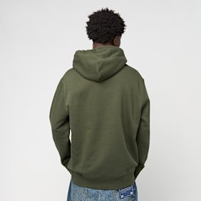 Polo Ralph Lauren Long Sleeve Hooded Sweatshirt grün