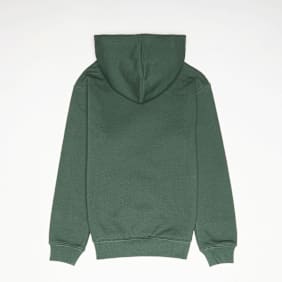 Jordan MJ Brooklyn Fleece Pullover Hoodie grün
