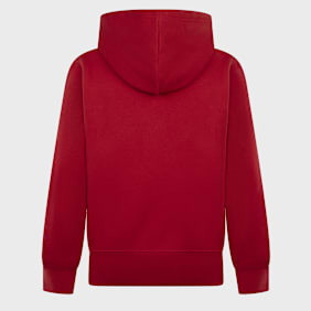 Jordan Essential Fleece Baseline Pullover rouge