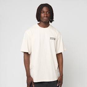 Dickies Buchtell Short Sleeve Tee beż