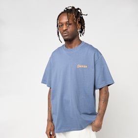 Dickies Wellsville Short Sleeve Tee blau