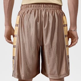 Jordan Brooklyn Cat Scratch Shorts multicolor
