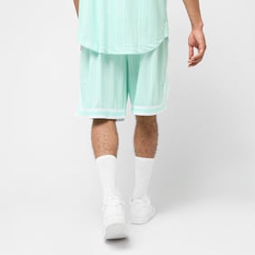 Karl Kani Small Varsity Logo Pinstripe Mesh Shorts niebieski