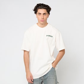 Dickies Gordonsville Short Sleeve Tee beż