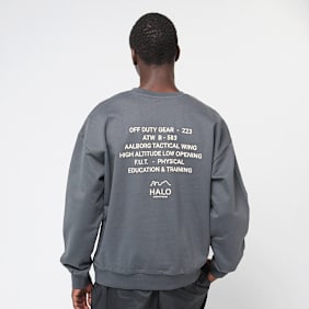 HALO Graphic Boxy Crew grijs