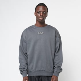 HALO Graphic Boxy Crew gris