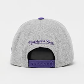 Mitchell & Ness Tailsweeps Pro Snapback NBA Los Angeles Lakers Grau