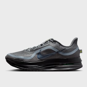 Nike   Nike Pegasus Premium grau