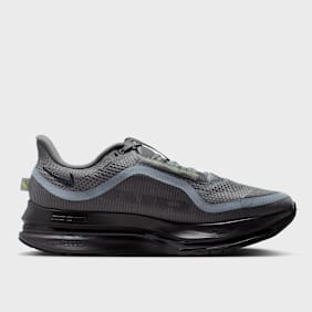 Nike Nike Pegasus Premium grau
