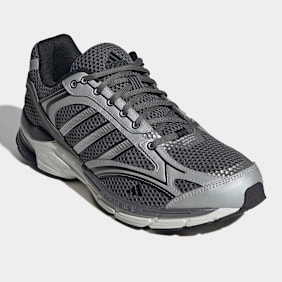 adidas Sportswear Spiritain 2000 gris