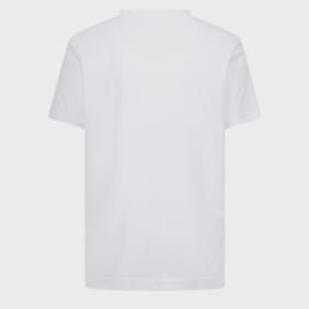 Jordan Jumpman Air Embleme blanc