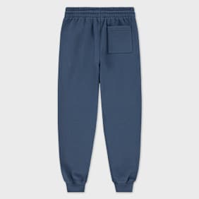 Jordan Brooklyn Fleece Pants bleu