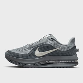 Nike   Pegasus Premium gris