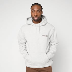 Dickies Payson Hoodie grau
