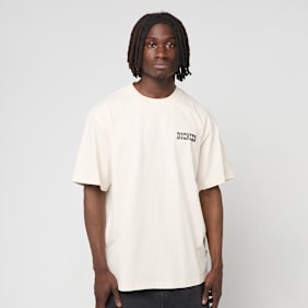 Dickies Buchtell Short Sleeve Tee bež