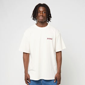 Dickies Dry Ridge Shortsleeve Tee beige