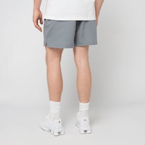Nike   5" Volley Short gris