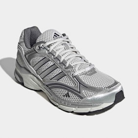 adidas Sportswear Spiritain 2000 argento