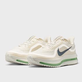 Nike   Pegasus Premium beige