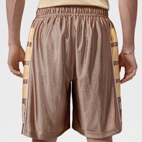 Jordan Brooklyn Cat Scratch Shorts multicolore