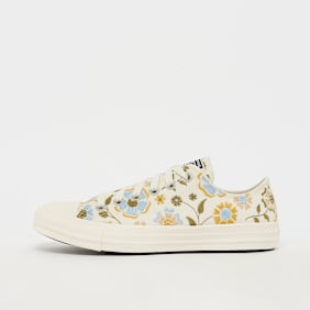 Converse Chuck Taylor All Star multicolore