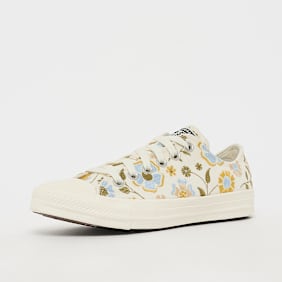 Converse Chuck Taylor All Star multicolore
