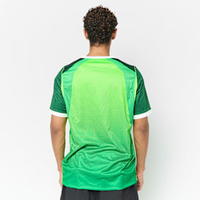 Nike   Nigeria 2026 Home Jersey vert