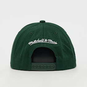 Mitchell & Ness Pro Crown NBA Chicago Bulls groen