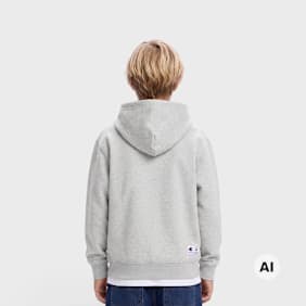 Champion Hooded Sweatshirt szary