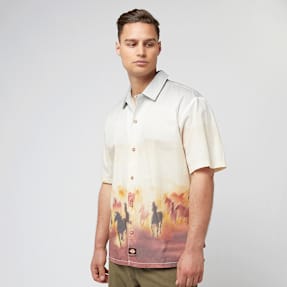 Dickies Running Wild Shortsleeve Shirt multicolor