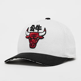 Mitchell & Ness Year Of The Snake NBA Chicago Bulls multicolore