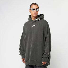 PUMA F1 Hoodie szary