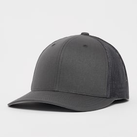 Flexfit Retro Trucker gris