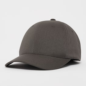 Flexfit Flexfit Cap grijs