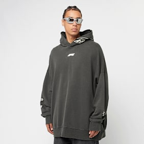 PUMA F1 Hoodie gris
