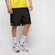 Lacoste Men Shorts zwart 166 1