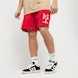 Zoo York Signature Nylon Shorts rot 28114 1