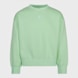 Jordan Icon Play Oversized Crew vert 25212 1