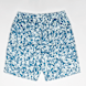 Jordan JDB MJ Essential Poolside All Over Print Short bleu 30401 1